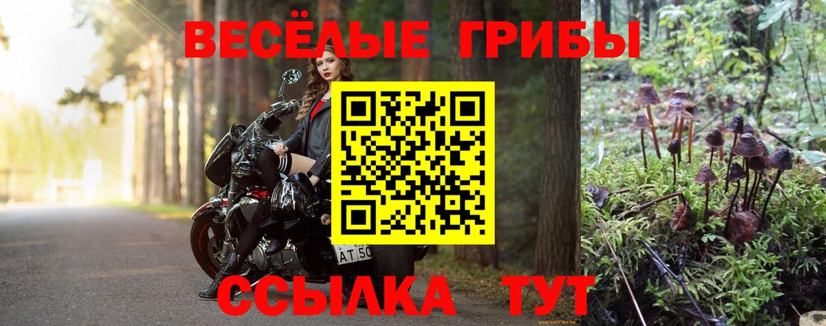 наркотики  Галлюциногенные грибы мухоморы  Вход с VPN  Новочеркасск 